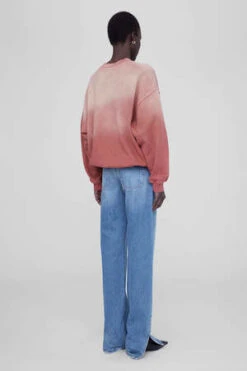 Anine BingJaci Sweatshirt - Paris/Washed Faded Terracotta -Sports Clothing Anine Bing Jaci Sweatshirt Paris 20230805170932