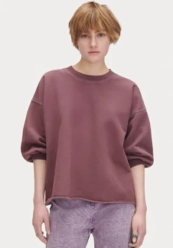 Rachel ComeyFond Sweatshirt - Clay
