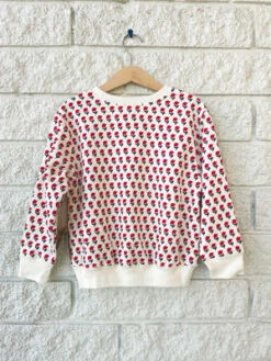 Pink ChickenKids Pink Chicken GIRLS ORGANIC SWEATSHIRT - TINY FLOWER -Sports Clothing GIRLS ORGANIC SWEATSHIRT 20230802201814