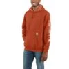 Carhartt Sweatshirts: Men's K288 Q15 Jasper Heather Midweight Hooded Logo Sweatshirt -Sports Clothing download 2021 08 25t122535.843