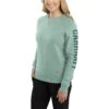 Carhartt Sweatshirts: Women's 104410 G86 Succulent Heather Crewneck Relaxed Fit Graphic Sweatshirt -Sports Clothing download 2022 05 19t121813.086